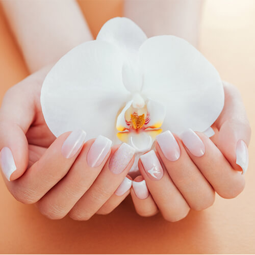 section_services_image_01